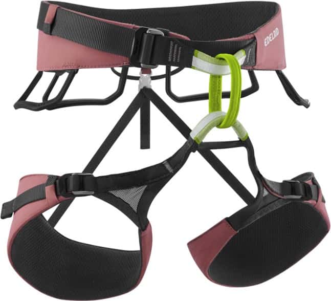 Side angle of Edelrid Autana women's climbing harness showing gear loops and waist padding