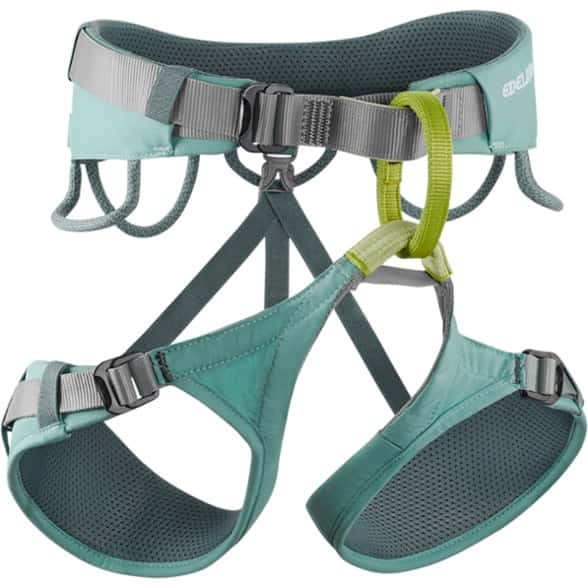 Rear view of the climbing harness showing padded waistbelt and gear loops