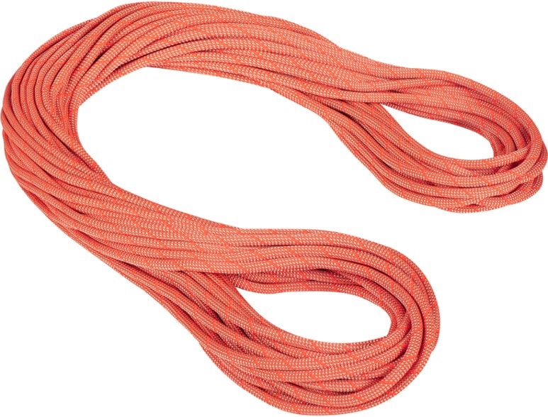 Mammut Crag Classic 9.8 mm climbing rope coiled for storage.