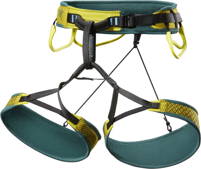 Front view of Skaha Women's Climbing Harness highlighting gear loops and design.