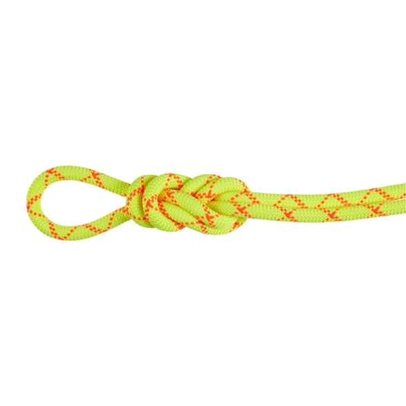 Close-up of AlpineCore ProDry 9.5mm dynamic rope showing aramid sheath texture and cut resistant fibers